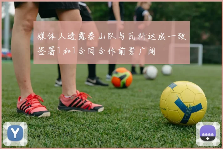 媒体人透露泰山队与瓦科达成一致签署1加1合同合作前景广阔