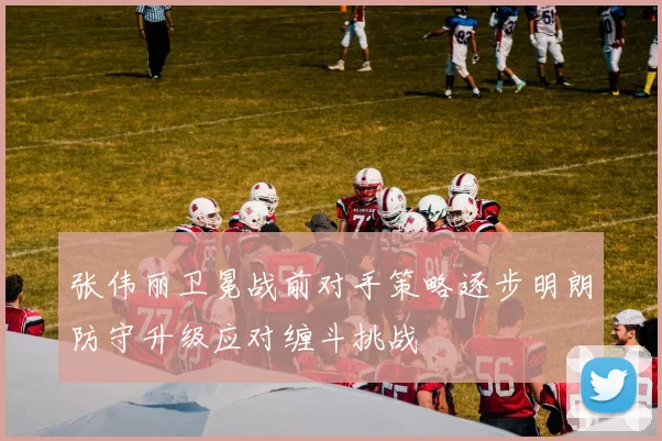 张伟丽卫冕战前对手策略逐步明朗防守升级应对缠斗挑战
